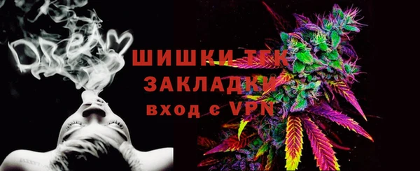 ГАЛЛЮЦИНОГЕННЫЕ ГРИБЫ Белокуриха