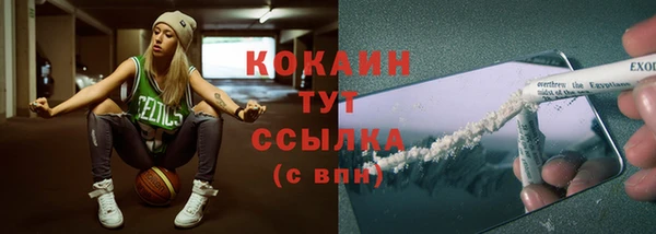 ГАЛЛЮЦИНОГЕННЫЕ ГРИБЫ Белокуриха