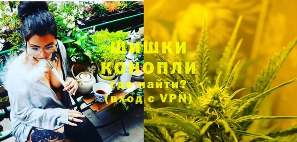 ГАЛЛЮЦИНОГЕННЫЕ ГРИБЫ Белокуриха