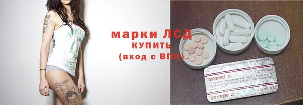 ГАЛЛЮЦИНОГЕННЫЕ ГРИБЫ Белокуриха