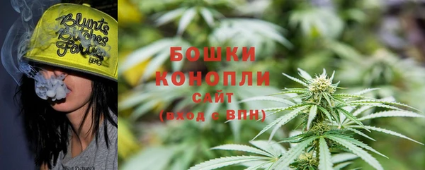 ГАЛЛЮЦИНОГЕННЫЕ ГРИБЫ Белокуриха