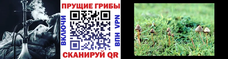 Галлюциногенные грибы прущие грибы продажа наркотиков Кушва