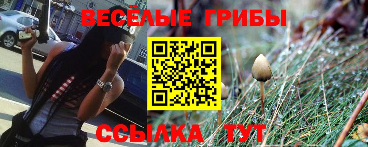 Псилоцибиновые грибы Psilocybine cubensis Кушва